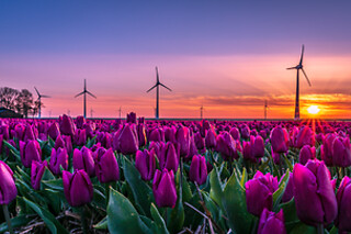 2 Dagen in Flevoland