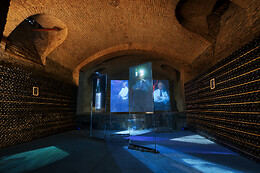 Cantine Bosca