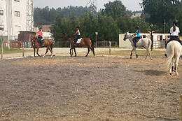 QUINTINHA PEDAGÓGICA DE CANELAS | CENTRO EQUESTRE COUTO PEREIRA