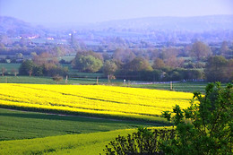 Les Volets Bleus