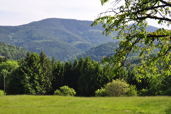 Ferme SAXERMATT - photo 9