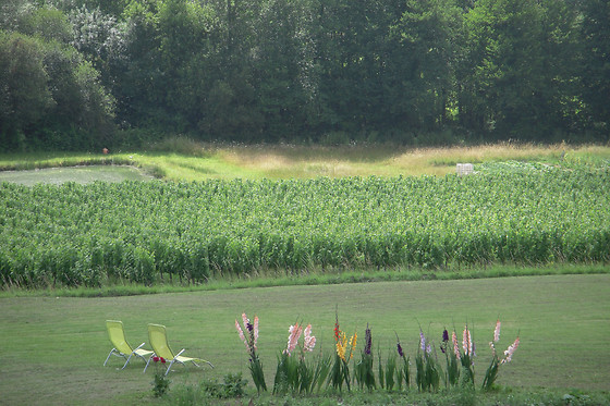 Chateau des Faures - photo 4