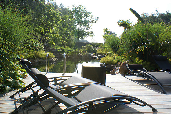 Aqua de lux - photo 1