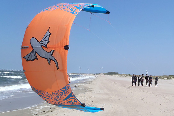 Dim Kite - photo 19