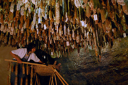 La ferme des Cevennes