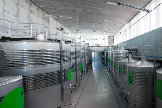 BODEGAS FINCA MONTEPEDROSO - photo 9