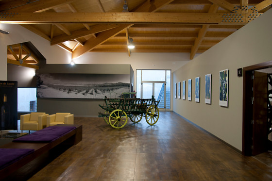 BODEGAS LUZON - photo 5