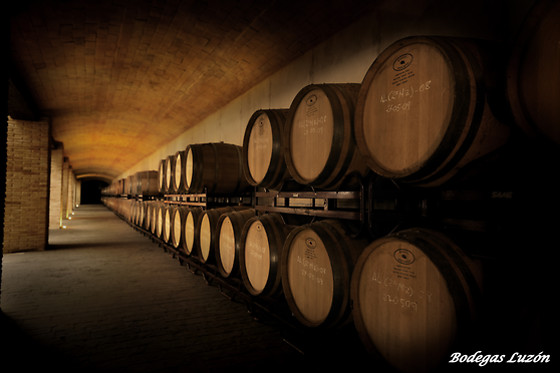 BODEGAS LUZON - photo 6