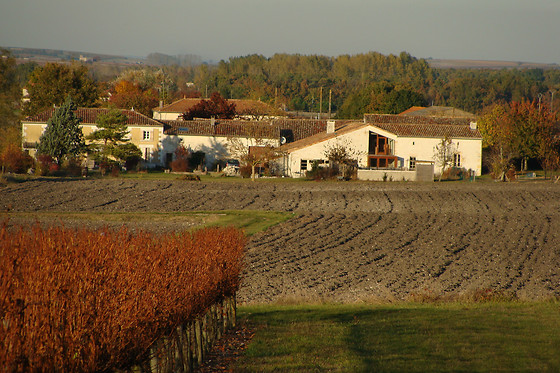 Du Coté Vignes - photo 6
