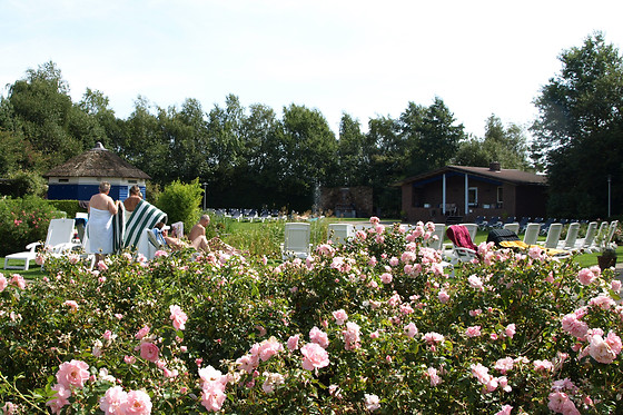 Thermen de Waterlelie - photo 2