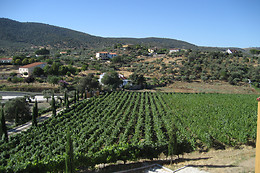 BODEGAS CAÑALVA
