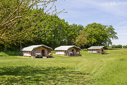 Les Anes de Forcalquier