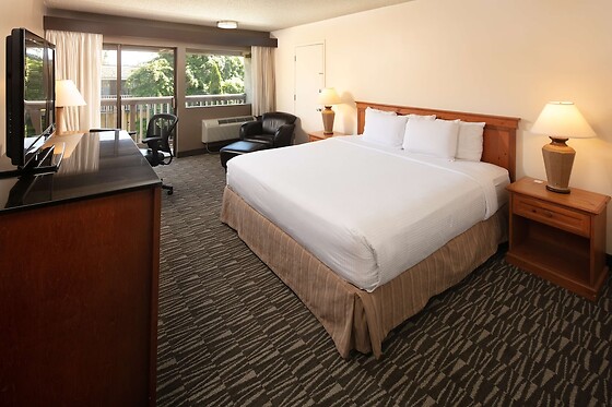 Online Booking EPS - photo 6