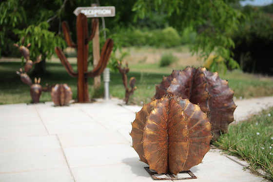 Dejeunez Sous L'arbre - photo 20