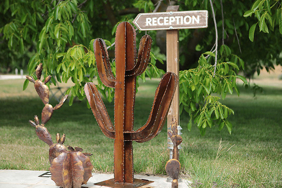 Dejeunez Sous L'arbre - photo 24