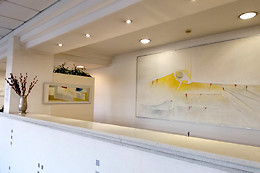 Hotel Antille