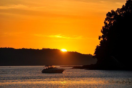 ALTAVELA - photo 4