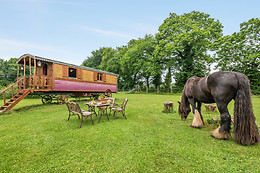 Une roulotte et des chevaux