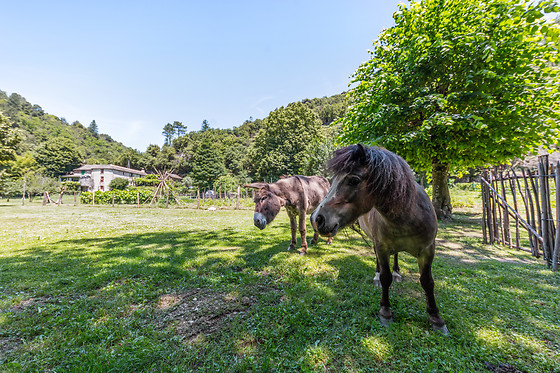 Ferme de Lancizolle - photo 2