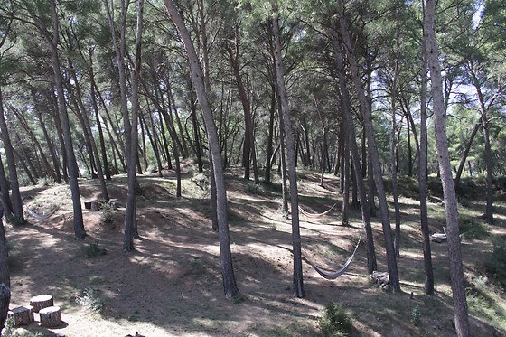 Hôtel Le Mas des Ecureuils - photo 7