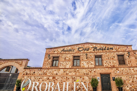 VISITA GUIADA A LA ALMAZARA ORO BAILÉN - photo 1
