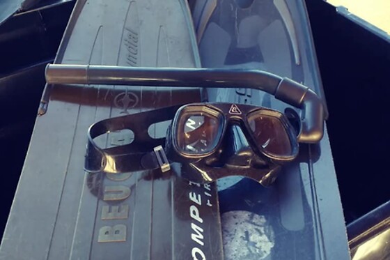 Diving Force - photo 4