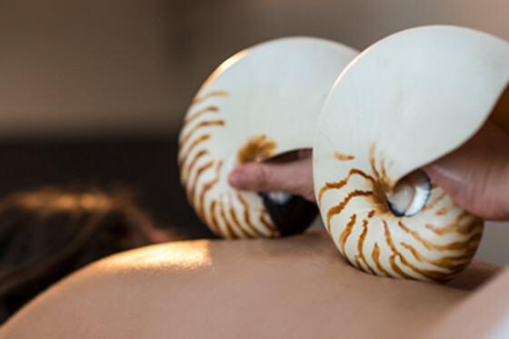 ESTETICA NATURAL RAQUEL TORRES - photo 17