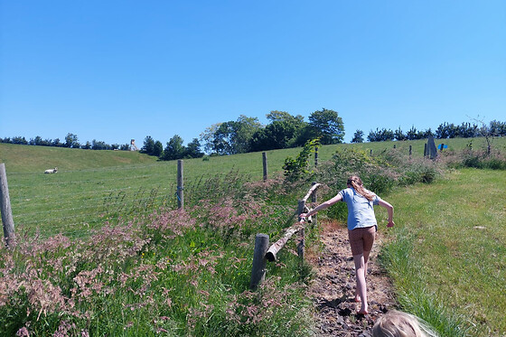 De Schaapsheuvel - photo 0