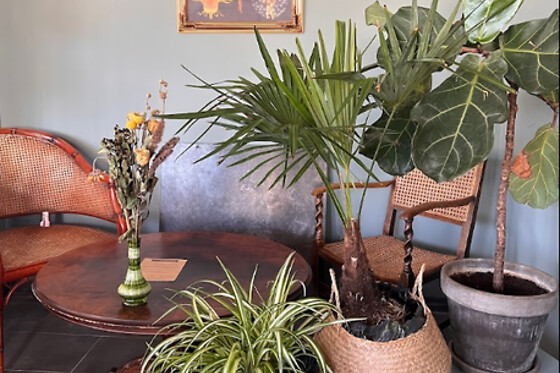 Za'atar - photo 6