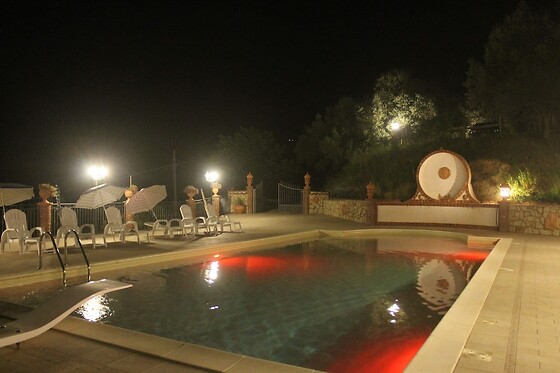 Online Booking EPS - photo 3