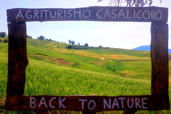 Agriturismo Casalicchio - photo 1
