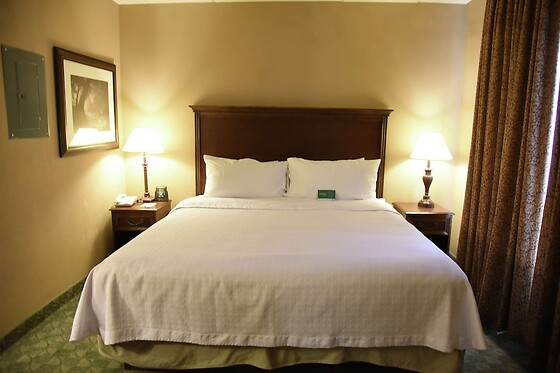 Online Booking EPS - photo 6