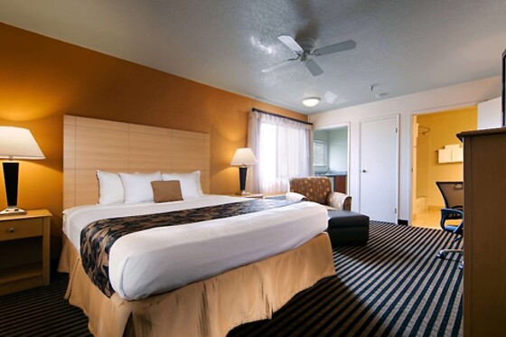 Online Booking EPS - photo 9
