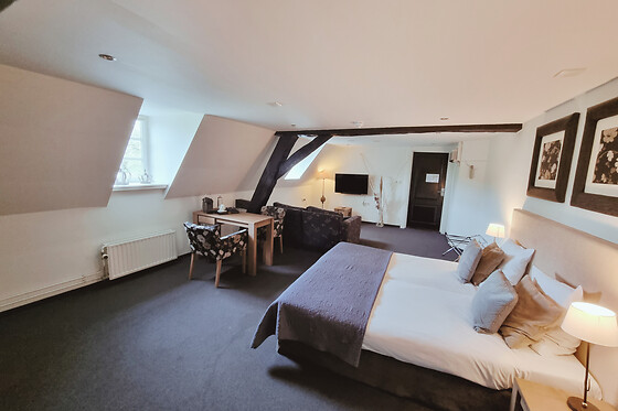Saillant Hotel Kasteel Doenrade - photo 10