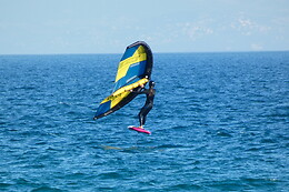 WINGS TARIFA