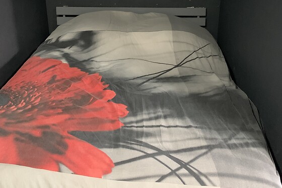 La Pâquerette - photo 16