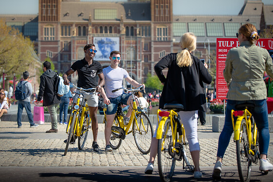 Yellow Bike - photo 4
