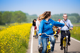 Yellow Bike