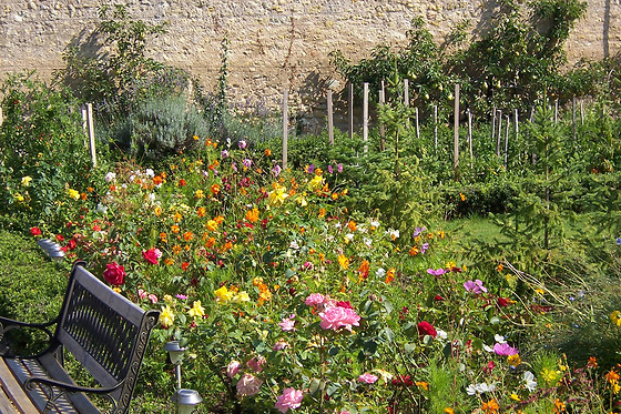 Auberge du Bon Laboureur - photo 7
