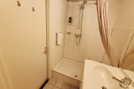 Saillant Hotel Brull - photo 13
