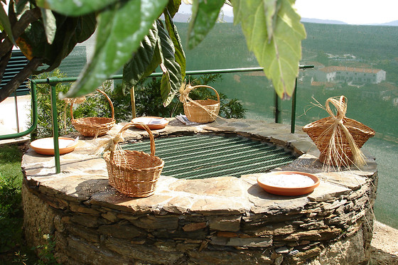 MONTE SÃO SEBASTIÃO - photo 3