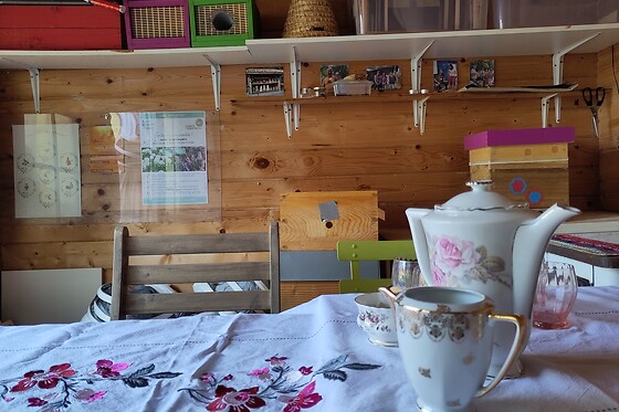 Petite apicultrice - photo 2