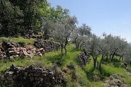 Les Jardins Célestes