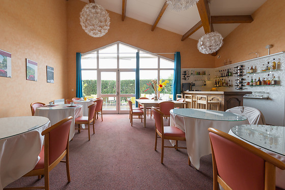 Hotel Des Grands Vins - photo 3