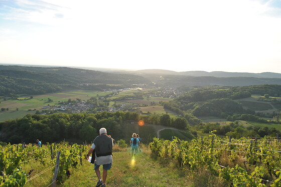 Vaingabond - photo 0