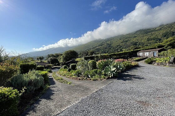 ADEGAS DO PICO - photo 5