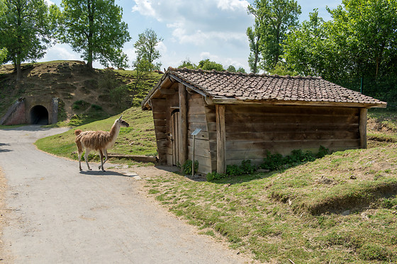 Parc zoologique de Maubeuge - photo 15