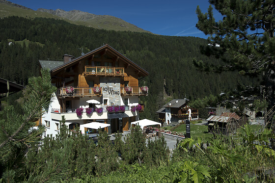 Hotel Vedig - photo 2