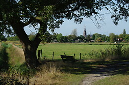 De Zwammenberg