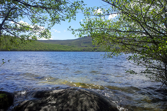 POSADA REAL LA CARTERIA - photo 3